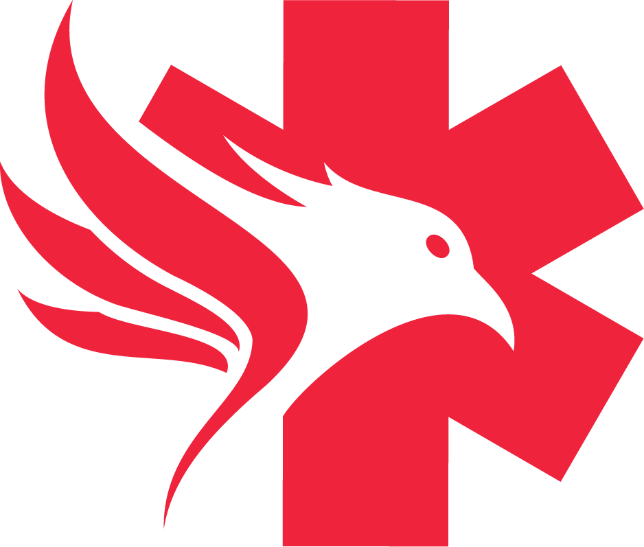 Phoenixx Enterprises Logo